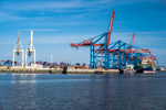 Hamburg. Containerterminal Burchardkai. Containerbrücken